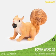 玩模乐仿真老鼠仓鼠野生动物模型玩具金花鼠花栗鼠土拨鼠早教认知 松鼠