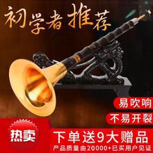 初学者唢呐乐器成人大小号 木E调白碗+8大