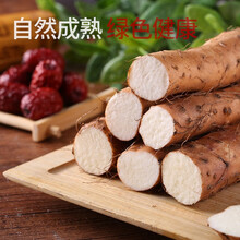 正宗铁棍山药 新鲜山药河南焦作温县正宗垆土铁棍山药 怀山药淮山药礼盒装 产地直发 【垆土 5斤】家庭装505