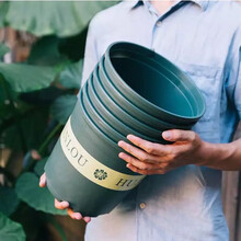 塑料花盆加厚批发特大号种花盆圆形绿萝加仑盆树脂含托盘特价 清正园艺 高款绿色1加仑【口径16cm】 含盆拖