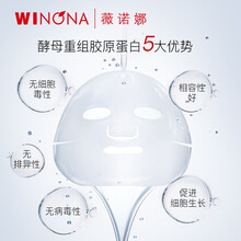 薇诺娜酵母重组胶原蛋白贴敷料6片 医用补水修护肌肤屏障缓解敏感