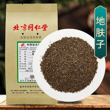 京皖 地肤子 中药饮片 按方抓药 100g
