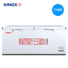 【自营发货】星星GE系列大容量商用冷柜超市便利店全冷藏冷冻冰柜展示柜 【718升】冷藏冷冻切换BD/BC-728GE