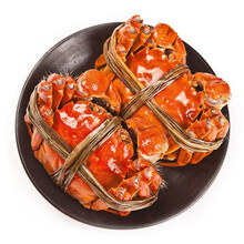 【活蟹】姚鲜品旗舰店  大闸蟹礼盒鲜活特大螃蟹活体现货公母产地直发缺重包赔 3两全母 10只装