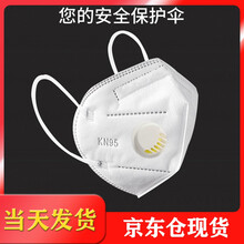 【当天发货】 KN95口罩 【独立包装】带呼吸阀 医用防护口罩n95成人N95 口罩 一次性 【独立包装】KN95【呼吸阀版】100只【送50只