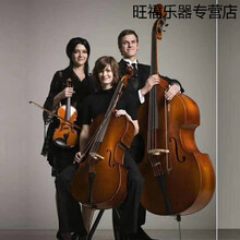 天鸣 Tianming 低音提琴倍大提琴低音大贝斯儿童成人演奏 默认配法式弓(小弓)，配德式弓下单留言