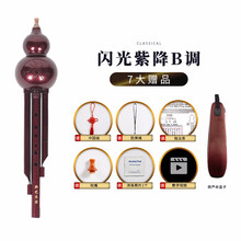 新艺乐器 葫芦丝乐器 ABS闪光紫胶木葫芦丝 学生成人儿童初学入门乐器 【闪光紫】降B调+【7大赠品】