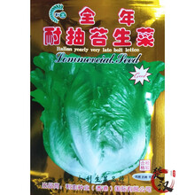 一播大地 香甜奶油生菜种子耐抽苔生菜 奶油生菜种子 四季生菜籽易种 蔬菜种子 阳台种菜盆栽菜籽 耐抽苔生菜种子原装5g