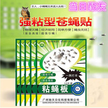 69Q 灭粘苍蝇板杀手蚊子苍蝇贴纸强力粘蝇纸灭蝇捕蝇器神器家用一扫光 10张