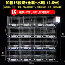 白鸽笼鸽子笼养殖笼养鸽子的笼子16位肉种鸽繁殖笼12位配对笼家用信鸽笼 加粗16位笼+全套+水箱（1.8米） 裸笼41斤