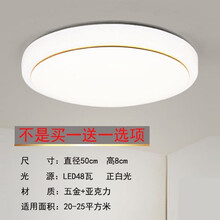 LED走廊灯圆形吸顶灯现代简约卧室过道客厅灯阳台厨卫灯灯饰灯具 48w 50cm白光