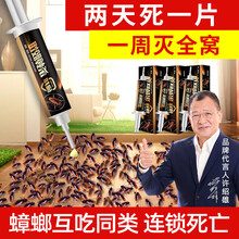 确邦蟑螂胶饵贴驱除小强克星家用器厨房卧室内孕妇婴儿可用衣柜灭虫剂餐饮饭店大小药丸 1支装（小试牛刀)