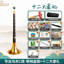 镜面堂乌木唢呐D 调精品初学者唢呐乐器全套厂家直销 乌木C调唢呐金碗+12大+定制背包