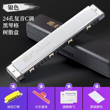 国光重音C调口琴 专业演奏级初学者中老年人成人学生儿童复音入门吹奏乐器 24孔复音C调 银色+送好礼