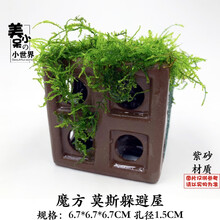 虾洞莫斯虾窝水族孵化罐小鱼躲避洞水晶虾躲避屋散莫斯造景水草泥 宝蓝色 魔方莫斯款