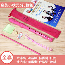 奇美高音德式G八孔六孔竖笛8孔小学生初学入门乐器6孔儿童C调笛子 小状元粉色6孔标配+擦琴布+吹奏说明+绒布袋