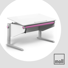 【升级版】德国摩尔moll Winner胜者系列儿童学习桌学生写字桌可升降书桌 白色（单桌） 抽绳腿