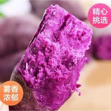 山东沙地小紫薯新鲜代餐番薯地瓜农家蔬菜软糯5/10斤批发 紫薯10斤小果(净重9-9.5斤)