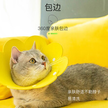 鼻涕猫网红同款太阳花伊丽莎白圈EVA海绵轻薄头套 猫咪狗狗宠物防舔防抓咬脖圈