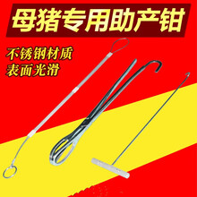 猪用助产钳助产夹助产绳助产钩助产器母猪用难产助产器械三件套 助产三件套
