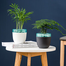 奥美优 自动吸水花盆北欧免浇水储水花盆懒人花盆加厚塑料绿萝多肉盆栽花盆 LZ7409 黑色光岚