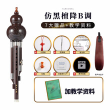新艺乐器 葫芦丝乐器 ABS闪光紫胶木葫芦丝 学生成人儿童初学入门乐器 【仿黑檀】降B调+【7大赠品+教学资料】