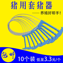 猪用保定器套猪绳钢丝绳猪套子猪嘴抓猪神器兽用器械打针套嘴器兽用猪用套猪器绿色塑料把不锈钢丝绳子拴猪绳 蓝把套猪器10个