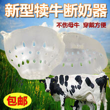 牛断奶器牛用奶罩犊小牛断奶器母牛乳罩牛断奶器牛乳罩小牛忌奶器 加厚牛奶罩3个
