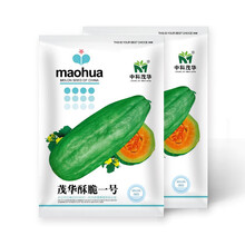 中科茂华瓜果种子酥脆一号菜瓜种子低糖易坐果绿皮红瓤八棱菜瓜凉拌菜50粒