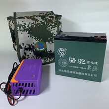12伏电瓶12v36a60安80安120ah夜市照明UPS干电瓶蓄电池12V 12V108A+充电器+背包