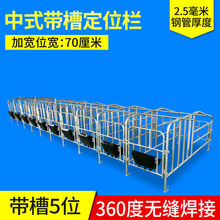 牧克斯母猪定位栏2.5复合板限位栏5位10位养猪养殖设备猪产床保育床 热镀2.5宽70带槽5位