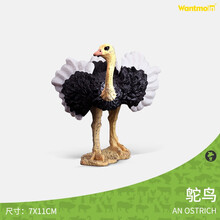 玩模乐仿真野生动物模型 大号猫头鹰鸵鸟老鹰白头鹰儿童玩具3-10岁 奔跑鸵鸟