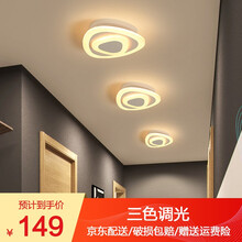 佐慕过道灯走廊灯led吸顶灯现代简约入户灯玄关灯衣帽间灯阳台灯具 哑白色椭圆形20cm三色变光