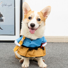 猫咪衣服狗狗抖音同款网红宠物服饰幼猫小猫春秋款可爱搞笑搞怪装 太郎装 S