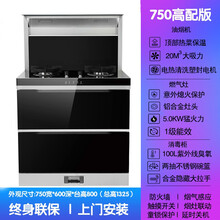 TANGDI唐帝集成灶蒸烤一体灶变频下排式环保家用自动清洗油烟机燃气灶带蒸箱烤箱一体机天然气 [高性价比]标配版 液化气