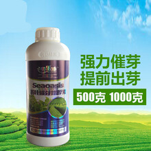 农药茶叶茶树专用叶面肥 海岱茶叶催芽剂催芽素多芽嫩芽暴芽增产 500毫升