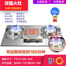 妍太太 煤气灶双灶家用九孔猛火燃气灶嵌入式天然气灶定时鸳鸯灶台式液化气灶不锈钢猛火灶 【F884款】不锈钢双猛火《带定时》 天然气