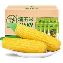 超市	
东北农嫂 黄糯玉米  200g*8支 1.6kg 真空玉米 黄白糯玉米 烧烤食材