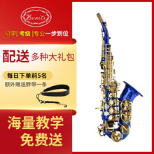 BUNISI（布尼斯）高音小弯管 降B调高音萨克斯 儿童小弯管 高音萨克斯风乐器 蓝色金键进阶款