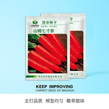 中科茂华 蔬菜种子 山姆七寸参胡萝种子 根肉芯三红 超高产红萝卜種子 中早熟 收尾好 基地种植商品佳 山姆七寸参10克/袋