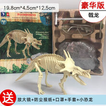 恐龙化石考古挖掘玩具DIY霸王龙骨架手工拼装模型儿童暑假礼物 戟龙-豪华版