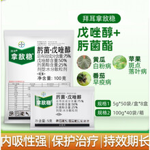德国拜耳拿敌稳肟菌酯戊唑醇葡萄草莓月季白粉病叶斑病农药杀菌剂 100g