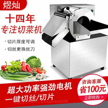 煜灿 切菜机商用多功能蔬菜食堂电动切菜机全自动土豆切片切丝机切菜器切丁机 60型升级款加大口（切片/切丝）