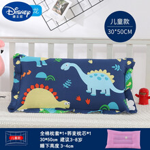 迪士尼品牌特价幼儿枕头3岁5岁儿童荞麦枕头夏天四季通用幼儿园3-6岁小孩纯棉婴儿枕芯宝宝学生 卡通恐龙5-8岁 1个枕芯+1个枕套