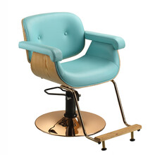 美容店理发椅 发廊专用剪发椅 新款剪发椅子 湖蓝色870皮
