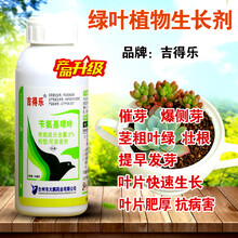 多肉植物爆芽素 爆侧芽细胞分裂素花草叶面肥爆头素催芽防落素包 1瓶x500毫升