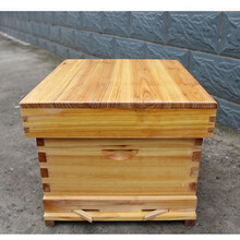 养蜂工具煮蜡蜜蜂中蜂蜂箱杉木全套意蜂密峰养蜂工具标准十框平箱