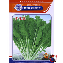 花友秀  雪里红种子 雪里蕻 小叶雪里蕻 菜籽 蔬菜种子 雪菜  野菜 绿色 咸菜种子家庭种植 雪里蕻种子原装15g