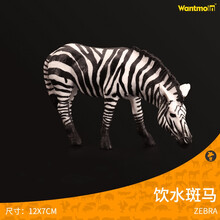 玩模乐非洲草原野生动物玩具模型 大象斑马河马犀牛猛犸象骆驼模型  儿童认知玩具3-10岁 食草斑马