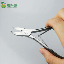 猪升源 剪牙钳 仔猪剪牙钳 小猪剪牙钳 不锈钢剪牙钳 剪牙快 畜牧养殖场用具 小猪用不锈钢剪牙钳